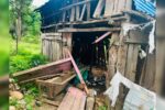 मनहरीमा जंगली हात्ती घरमा पस्दा ५० हजार रुपैयाँ बराबरको क्षति